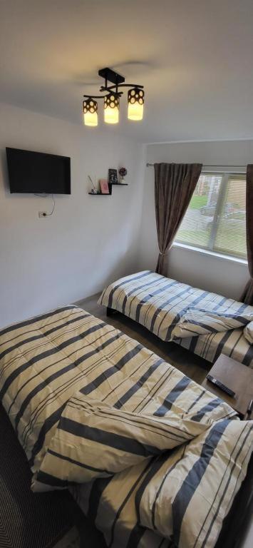 Avdk Apartament Sînpetru Eksteriør bilde